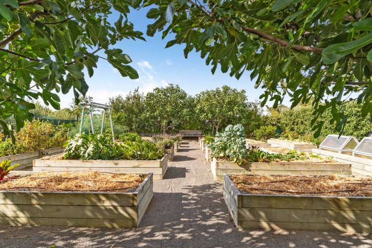 7 Fairway Drive Martinborough_20