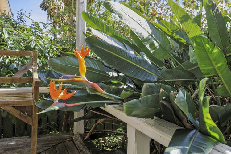 1 Tatahi Street Te Puru_17