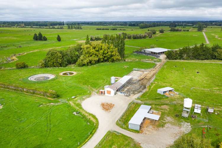 249 Plaskett Road Fernside_5