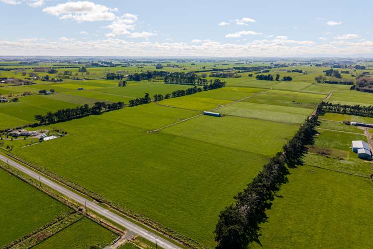 1040 Roberts Line Bunnythorpe_15