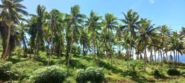 LOT 3 Korovesi Savusavu_2