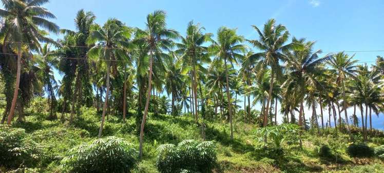 LOT 3 Korovesi Savusavu_2