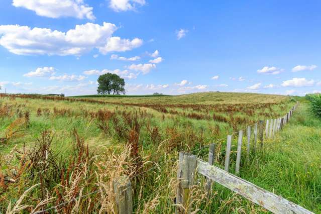 Lot Lot 4 Tapapa Road West Tirau_3