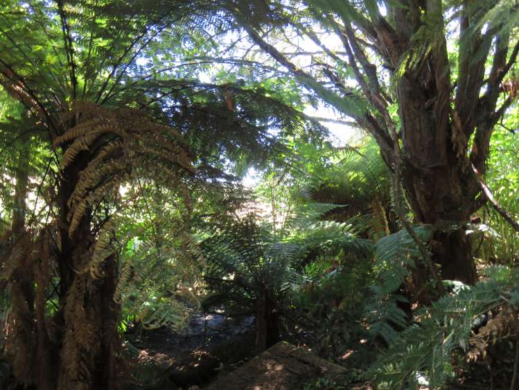 157a Otapouri Road Owhango_19