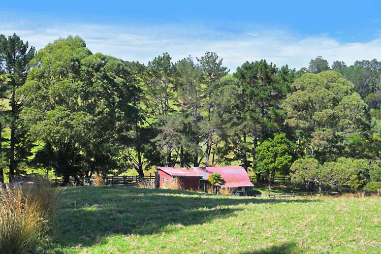 123 Goat Island Road Leigh_19