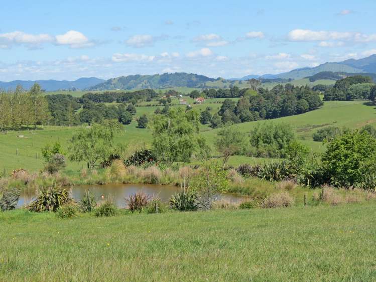 202 Knight Road Ruatangata_2