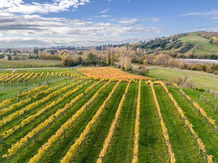 56 River Road Havelock North_12