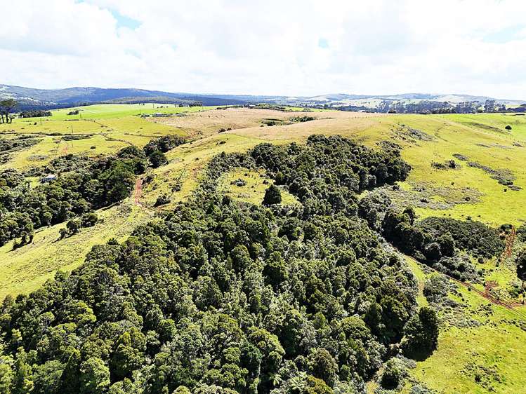 870 Marlborough Road Dargaville Surrounds_13