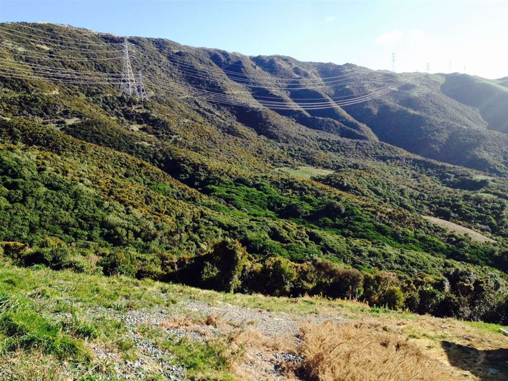 118 Downing Street Crofton Downs_0