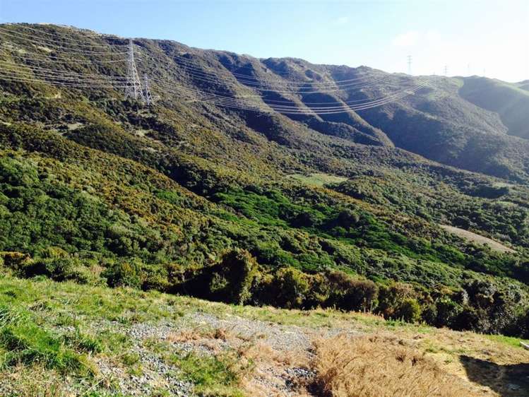 118 Downing Street Crofton Downs_0