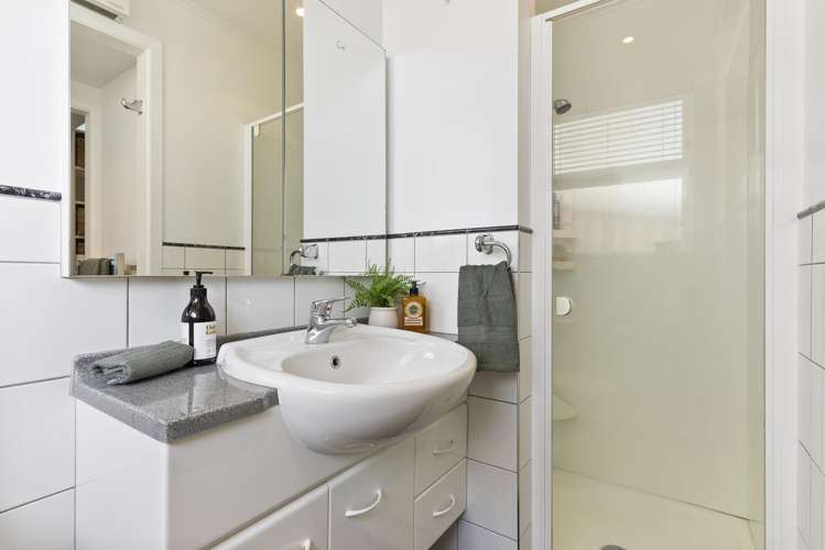 26 Matai Road Hataitai_25