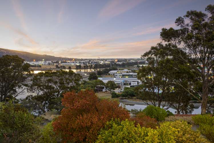 26 Cannon Hill Crescent Mount Pleasant_18