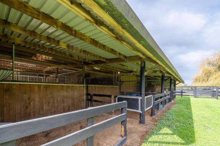 204 Racecourse Road Cambridge_21