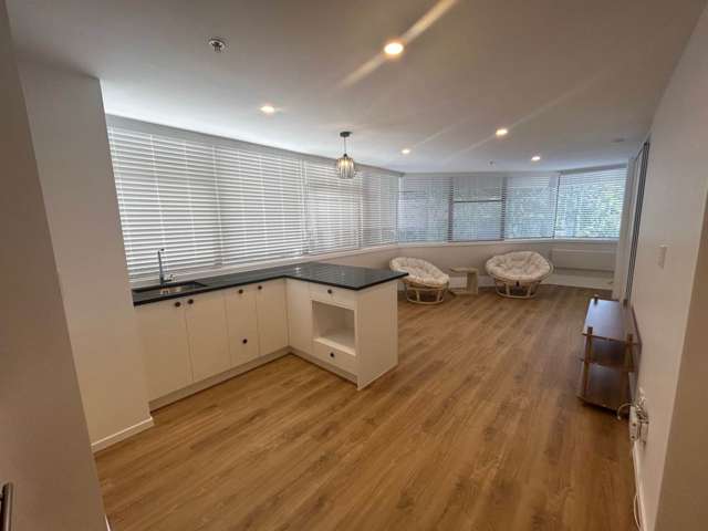 Renovated 1 Bedroom Apartment with Carpark!