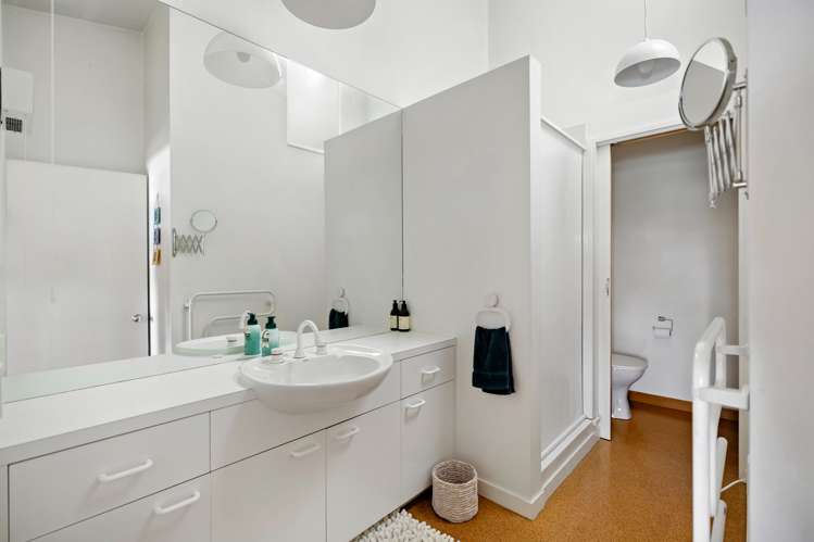 103b Mcbride Street Frankton_15