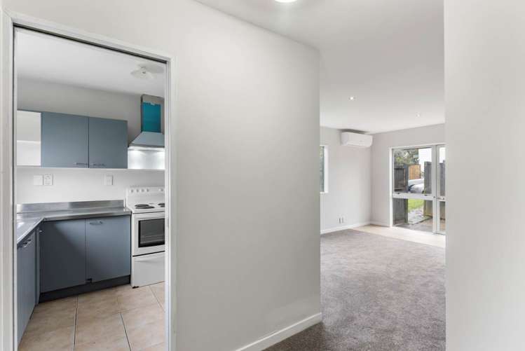 41 Fred Woodward Place Mount Roskill_10