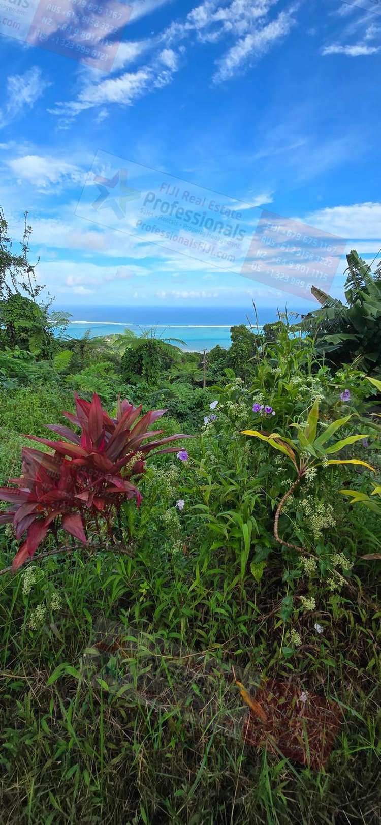 Address withheld Waidroka Bay_14