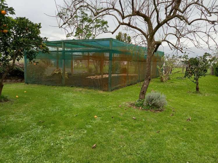 6835 State Highway 12 Turiwiri_35