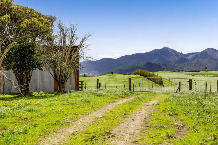 165 Oxford Road Okato_5