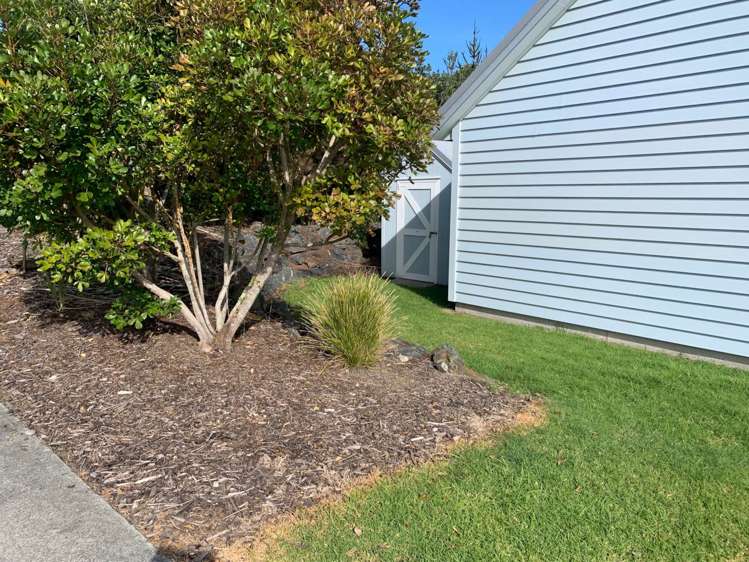 1 Paulene Anne Place Mangawhai Heads_9