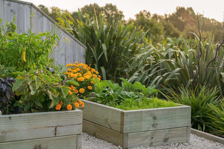 30 Hass Drive Ohauiti_18