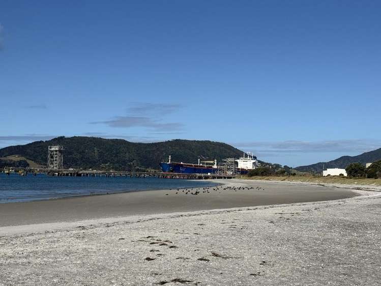 5 Anbrue Lane Ruakaka_9