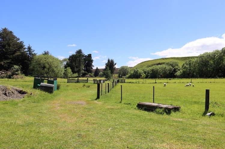 21 Benson Road Nightcaps_4