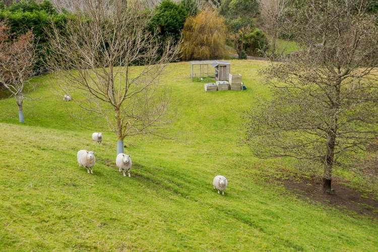 74 Greendale Drive Otaihanga_6