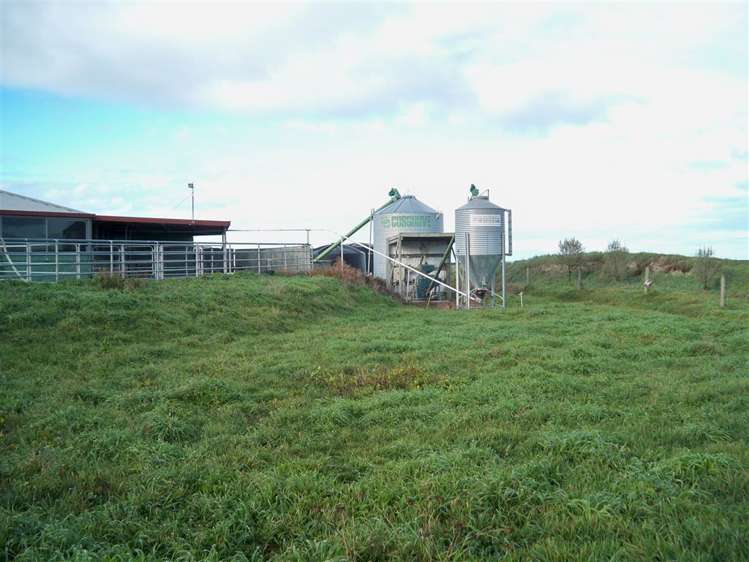 449 Greenpark Road Springston_18