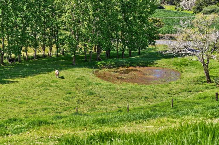 386 South Road Waipu_21