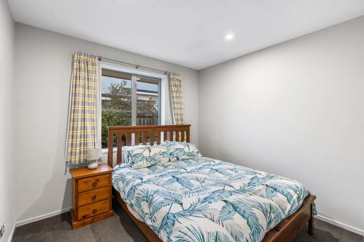 5 Spring Grove Street Spreydon_12