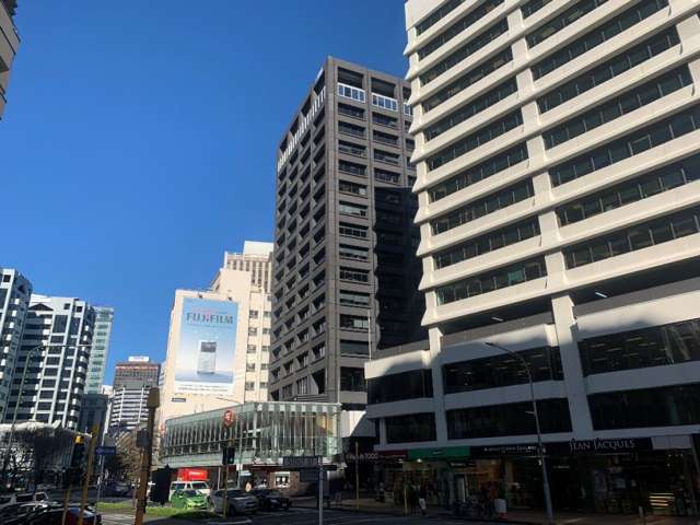 89 The Terrace Wellington Central_2