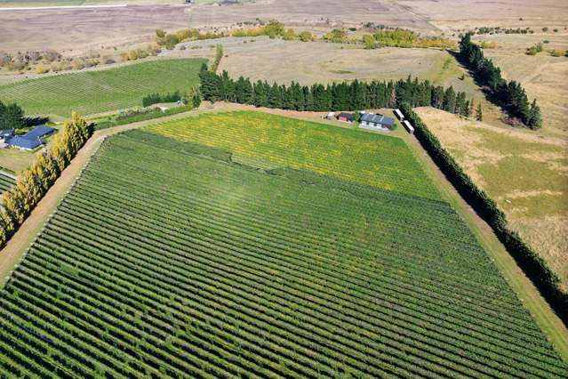 253 Mackenzies Road Waipara_2