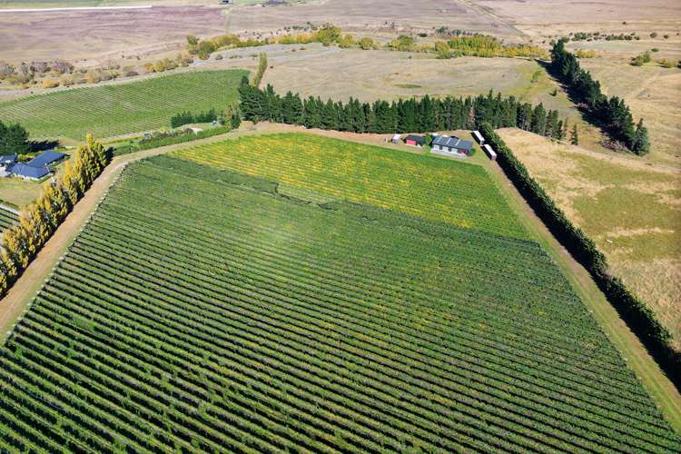 253 Mackenzies Road Waipara_2