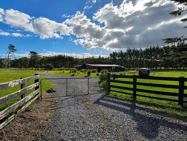 359 Kimberley Road, Ngataki_1
