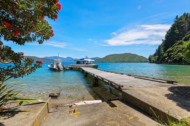 Burneys Beach Arapaoa Island_2