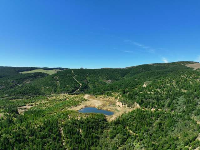 Waitahuna Gully Road Waitahuna Gully_2