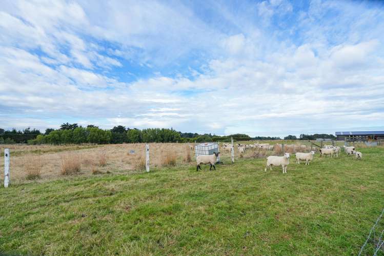 385 and 401 McQuarrie Street Tisbury_30