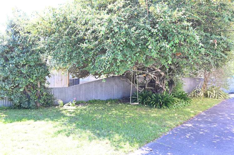 1/2 Herrick Street Marewa_15