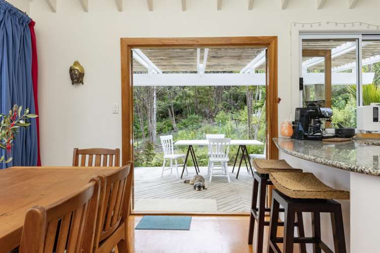 16 La Trobe Track Karekare_15