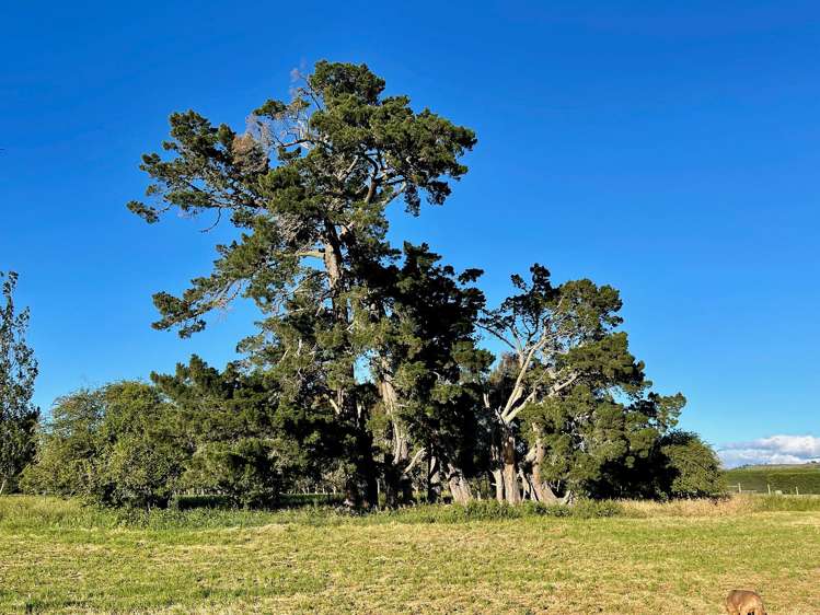 48 Gardiners Road, Starvation Hill Oxford_14