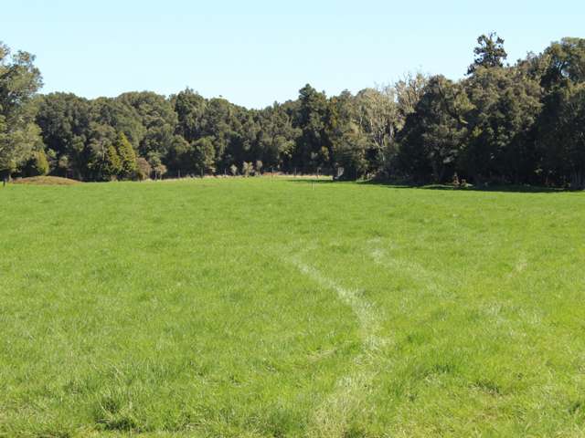 Ruapehu Alpine Estate Ohakune_4