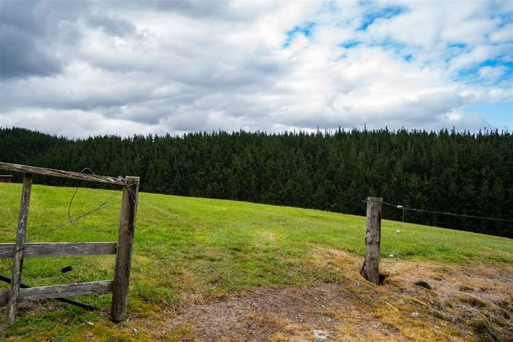 144 Moore Road Pipiwai_35