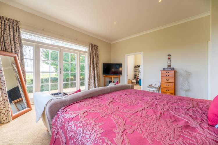 65 Springfield Road Totara_7