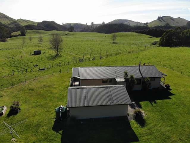 850 Te Kopia Road Waikite Valley_4