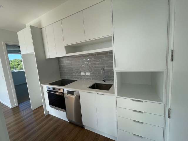 307/9B Jordan Avenue Onehunga_1