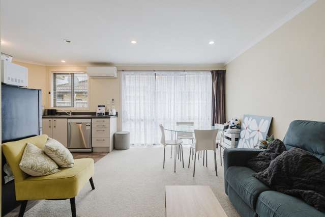 33 Campbell Street Frankton_2