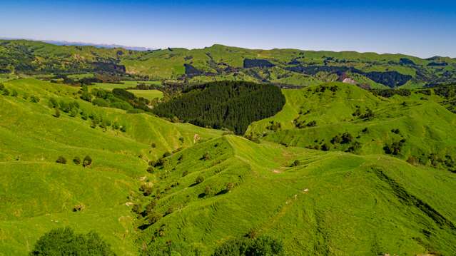 792 Clifton Grove Road Gladstone_1