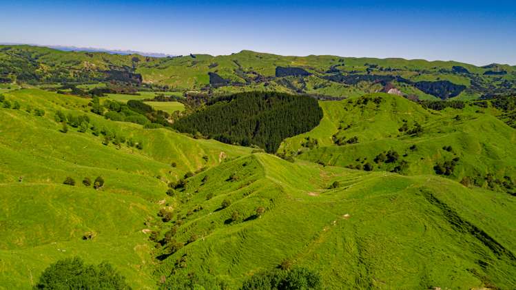 792 Clifton Grove Road Gladstone_1