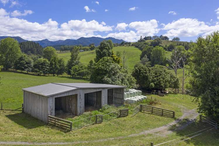 Te Tahi Road Puketotara_20